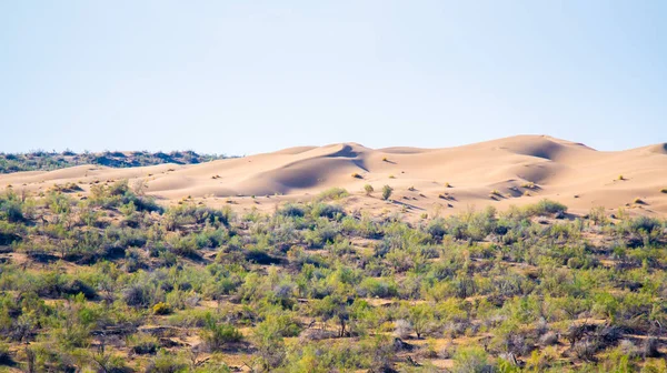 Panoramic view of the sand dunes — Stock Photo, Image