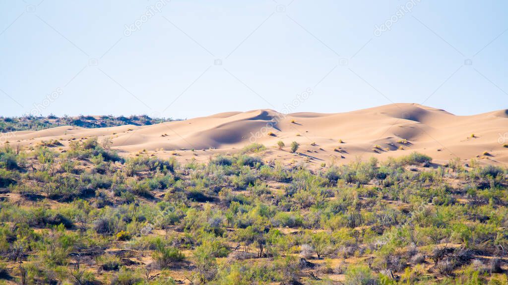 Panoramic view of the sand dunes