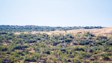 Kum tepelerinin panoramik görüntüsü