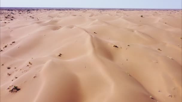 Vlucht over de zandduinen in de woestijn op een zonnige dag. — Stockvideo