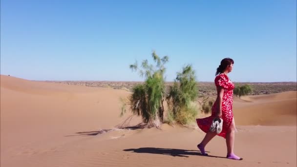 Женщина в красном платье идет по пустыне среди песчаных дюн — стоковое видео
