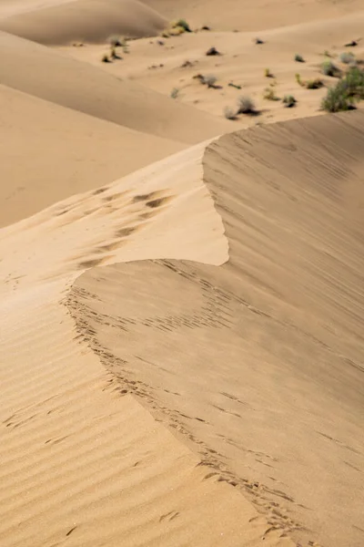 沙漠中的沙丘作为背景 — 图库照片