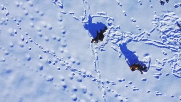 Twee jongens liggen in de sneeuw en spelen sneeuwengel — Stockvideo