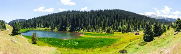 吉尔吉斯斯坦阿拉库尔湖全景 有高大的清洁冷杉树 洁净的山地空气 淡水供应 环境保护 — 图库照片