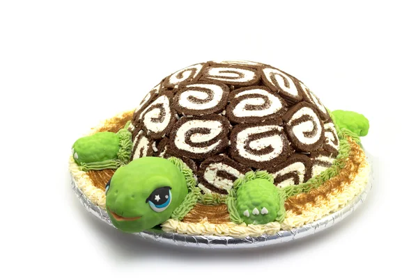 Schildkrötenkuchen — Stockfoto