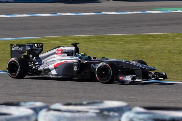 Sauber F1 Team - Esteban Gutierrez - 2013 — Stock fotografie