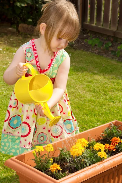 Little girl watering flowers