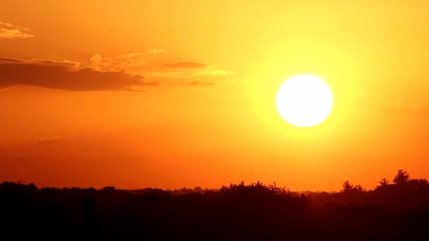 Flugzeuge bei Sonnenuntergang — Stockvideo