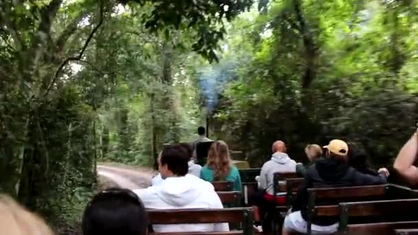 Tour por la selva — Vídeo de stock