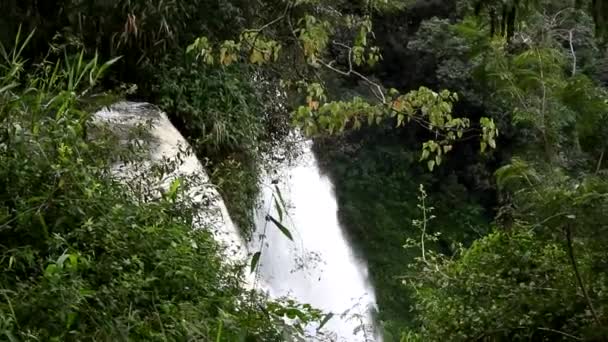 Cachoeira — Vídeo de Stock