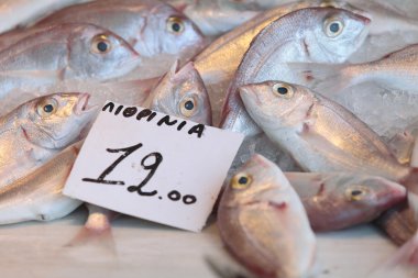 Balık Aegina pazarı