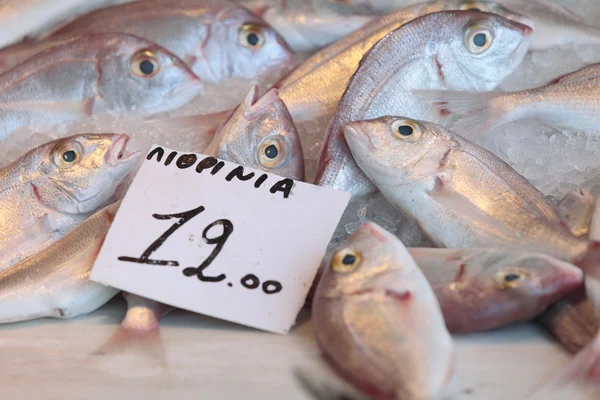 Fish at Aegina market — Stock Photo, Image