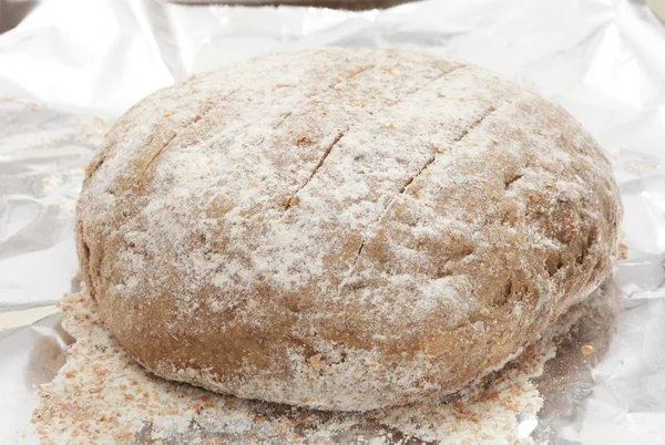 Rye bread dough rising — Stock Photo, Image