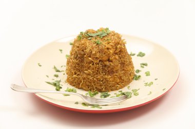 tavuk biryani kalıplanmış