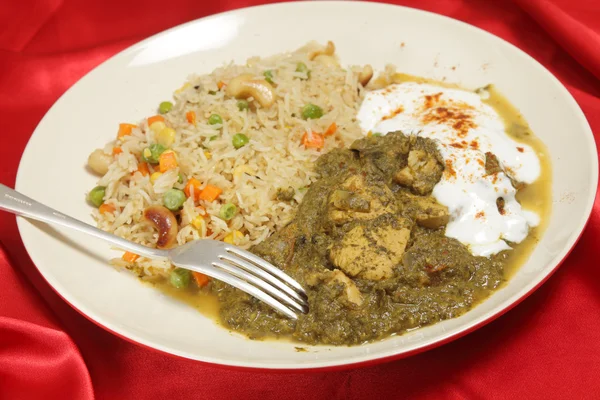 Chicken saag with vegetable rice — Stock Photo, Image
