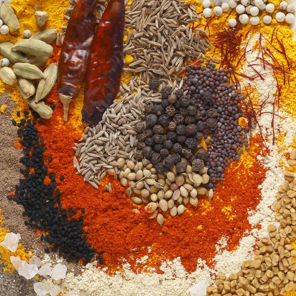 Curry spices — Stock Photo, Image