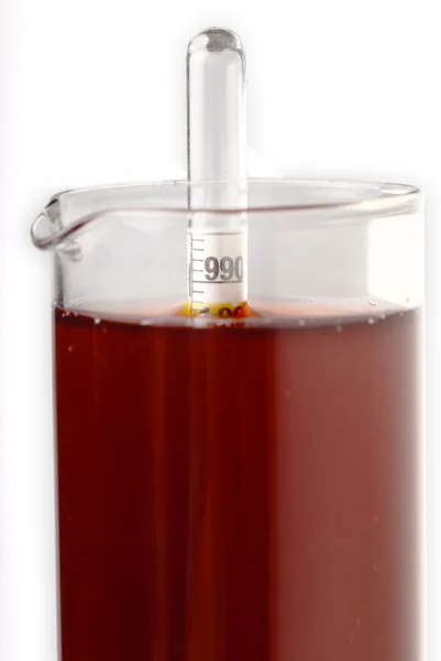 Mesurer la densité du vin avec un hydromètre — Photo