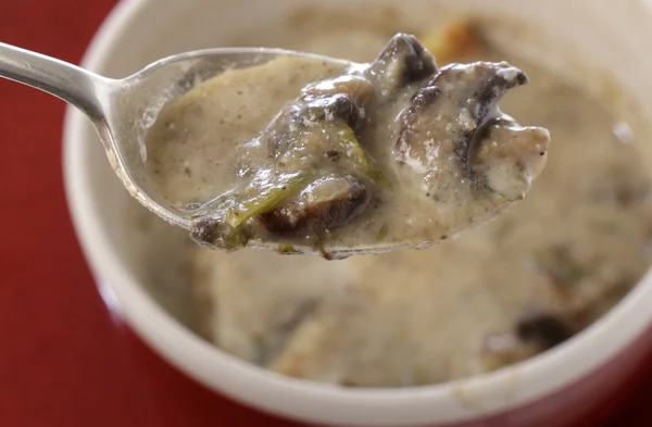 Homemade cream of mushroom soup — Stock Photo, Image