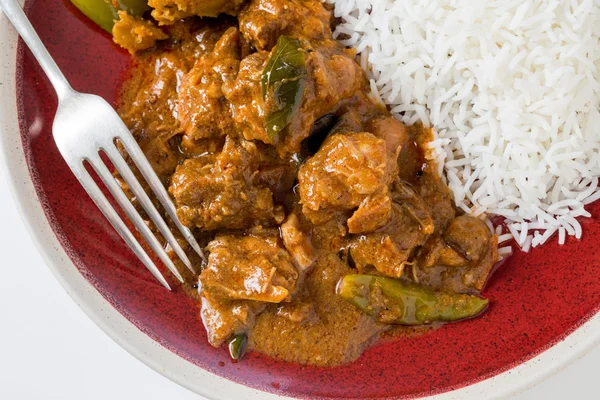 Pollo curry e riso ad alto angolo — Foto Stock