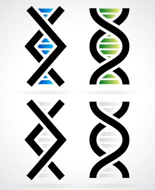 DNA strand, elica