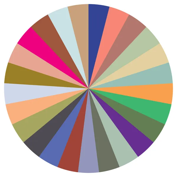 Gráfico Pastel Gráfico Pastel Circular Diagrama Círculo Serie Con Segmentos — Vector de stock