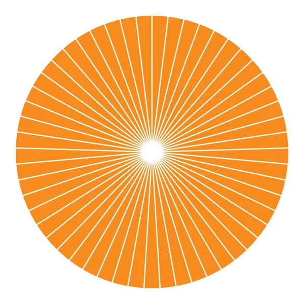 Gráfico Torta Gráfico Torta Diagrama Circular Círculo Seções Setores Segmentado — Vetor de Stock