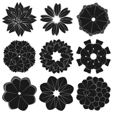 Kutsal geometri nilüfer çiçeği, çiçek motifi, ikon. Geometrik dairesel, daire sembolü, illüstrasyon - stok vektör illüstrasyonu, klip- sanat grafikleri