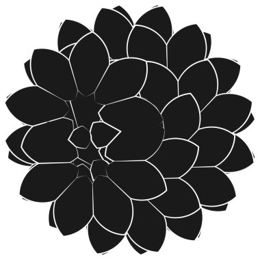 Kutsal geometri nilüfer çiçeği, çiçek motifi, ikon. Geometrik dairesel, daire sembolü, illüstrasyon