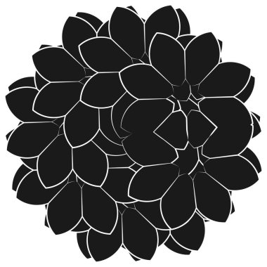 Kutsal geometri nilüfer çiçeği, çiçek motifi, ikon. Geometrik dairesel, daire sembolü, illüstrasyon