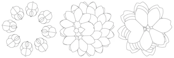 Helig Geometri Lotus Blommor Blommotiv Ikon Geometrisk Cirkel Cirkel Symbol — Stock vektor