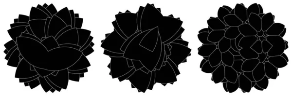 Sacred Geometry Lotus Floral Flower Motif Icon Geometric Circular Circle — Stock Vector