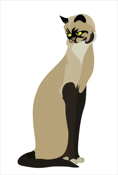 Gato sobre fondo blanco — Vector de stock