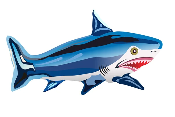 Illustration of a blue and white shark — Stock Vector