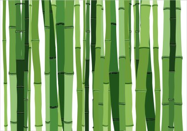 Bambu Arkaplanı