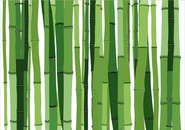 Bamboo background — Stock Vector