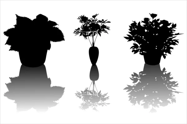 Flower silhouette — Stock Vector