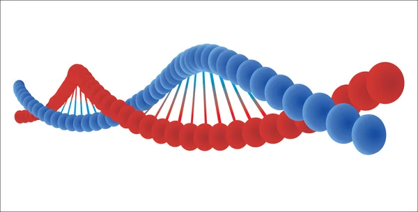 Vektor DNA — Stockový vektor