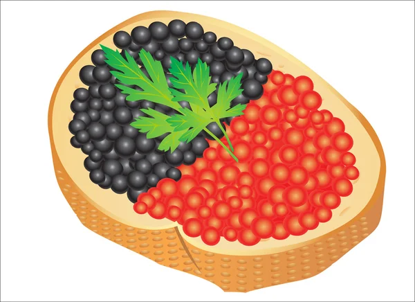 Smörgås med svart kaviar och röd kaviar, isolerad på vit bakgrund — Stock vektor