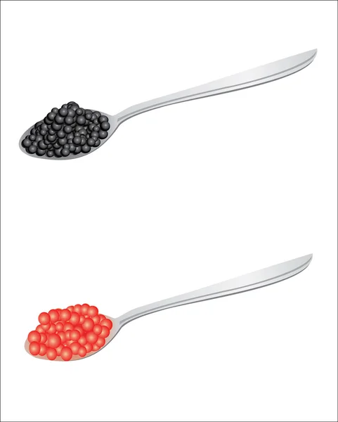 Caviar vermelho e preto em duas colheres —  Vetores de Stock