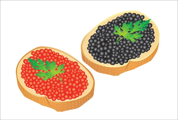 Sandwiches with black caviar and red caviar, isolated on white background — Stock Illustration Sandwiches with black caviar and red caviar, isolated on white background Royalty Free Stock Vectors