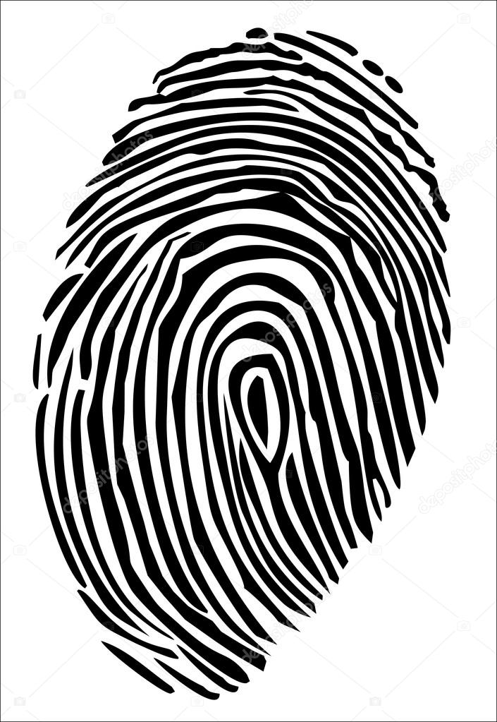 Vector of a finger print