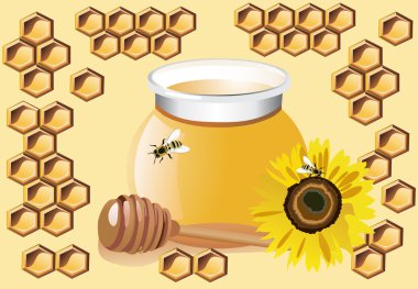güzel combs, bal ve üzerinde beyaz izole ayçiçeği