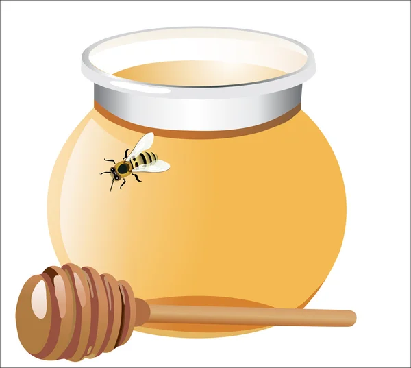 Honey with wood stick and bee, isolated on white background — Stock Vector