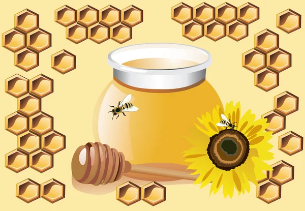 Schöne Waben, Honig und Sonnenblumen isoliert auf weiß — Stockvektor