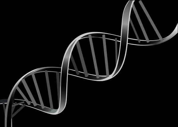 Filo di DNA isolato su sfondo nero — Vettoriale Stock