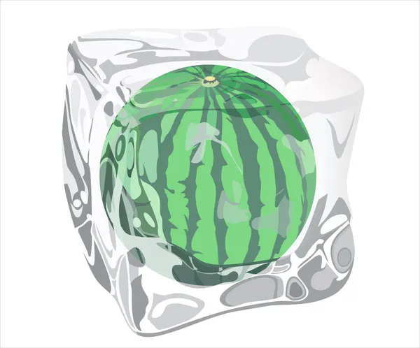 Ice water-melon — Stock Vector
