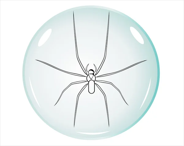 Spider — Stock Vector