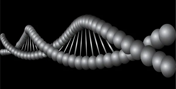 Modelo de DNA isolado em fundo branco. — Vetor de Stock