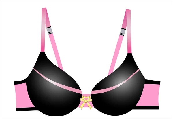 Feminine bra — Stock Vector