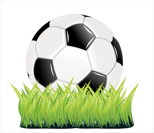 Soccer ball on green grass background — Stock Vector